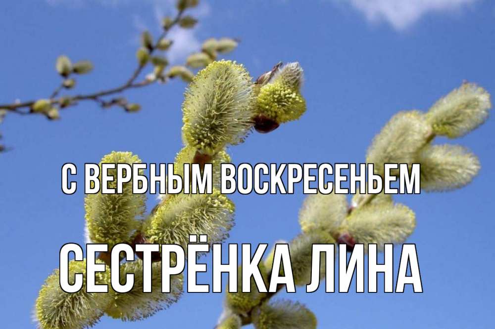 Открытка на каждый день с именем, Сестрёнка-Лина С вербным воскресеньем верба Прикольная открытка с пожеланием онлайн скачать бесплатно 