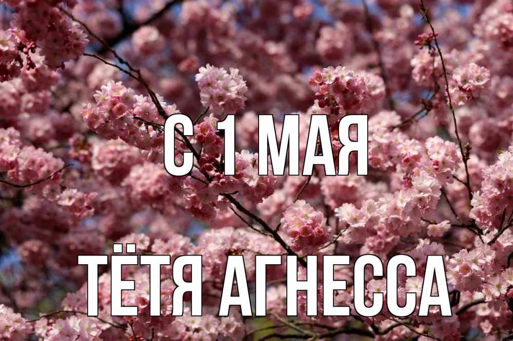 Открытка на каждый день с именем, Тётя-Агнесса С 1 мая С 1 мая Прикольная открытка с пожеланием онлайн скачать бесплатно 