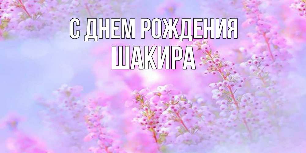 Открытка на каждый день с именем, Шакира С днем рождения красивая открытка с мелкими цветами Прикольная открытка с пожеланием онлайн скачать бесплатно 