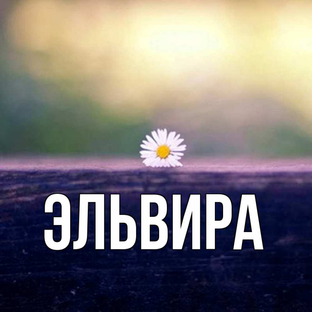 Картинки На Имя Эльвира