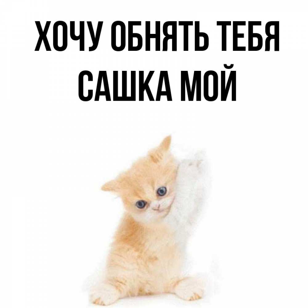 вечерние картинки хочу сашку время