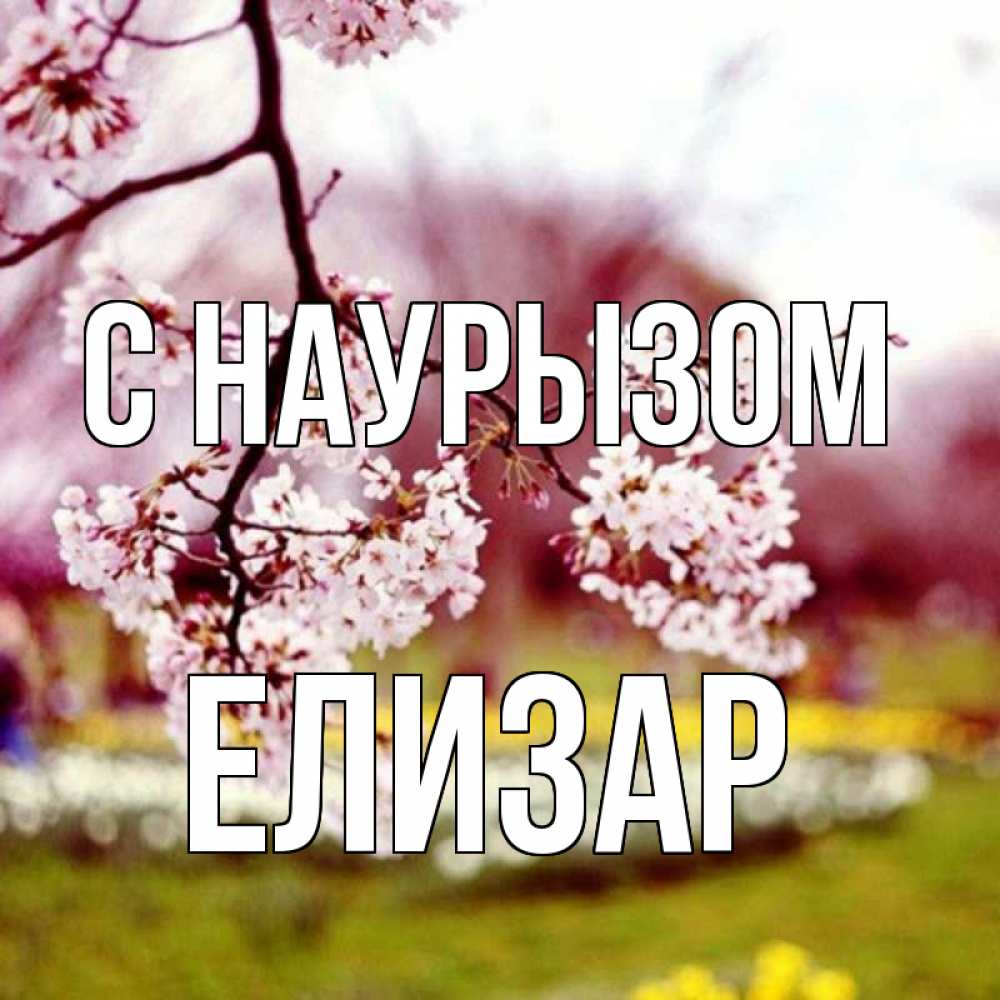 Открытка на каждый день с именем, Елизар С наурызом яблоня Прикольная открытка с пожеланием онлайн скачать бесплатно 