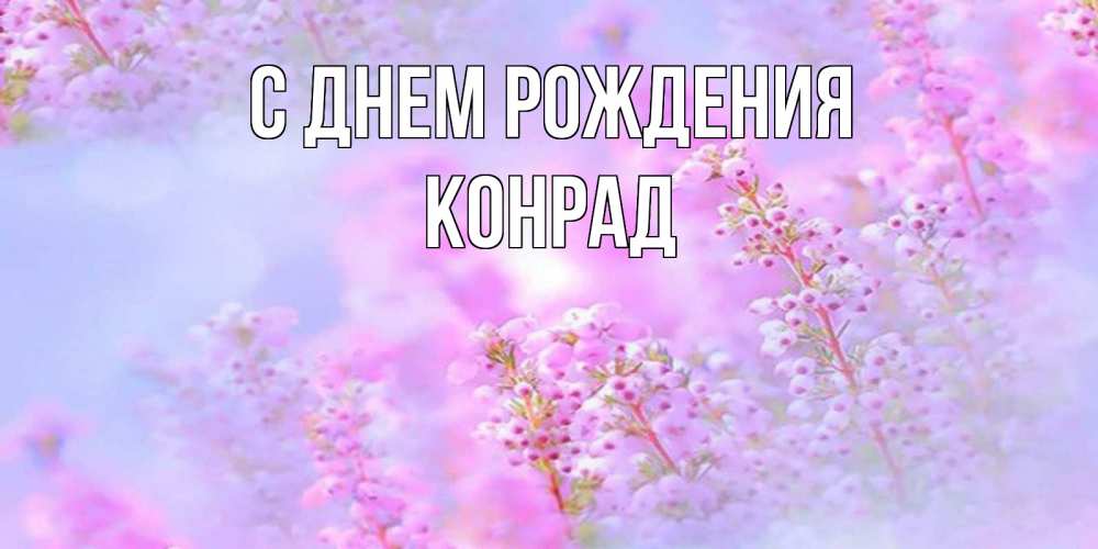 Открытка на каждый день с именем, Конрад С днем рождения красивая открытка с мелкими цветами Прикольная открытка с пожеланием онлайн скачать бесплатно 