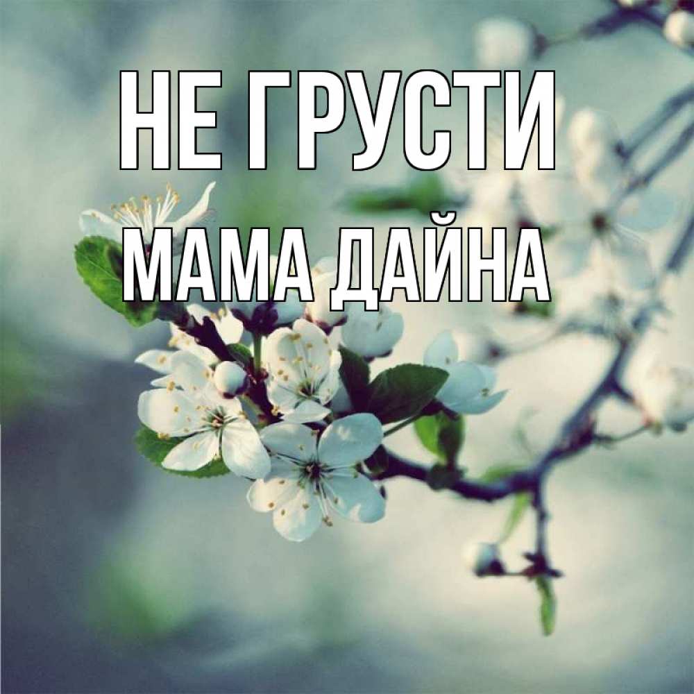 Открытка на каждый день с именем, Мама-Дайна Не грусти яблоня в цвету 1 Прикольная открытка с пожеланием онлайн скачать бесплатно 