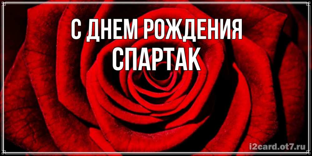 Открытка на каждый день с именем, Спартак С днем рождения алая роза Прикольная открытка с пожеланием онлайн скачать бесплатно 