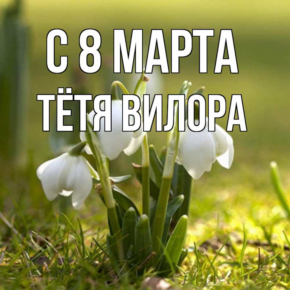 Открытка на каждый день с именем, Тётя-Вилора С 8 марта ранние цветы 2 Прикольная открытка с пожеланием онлайн скачать бесплатно 