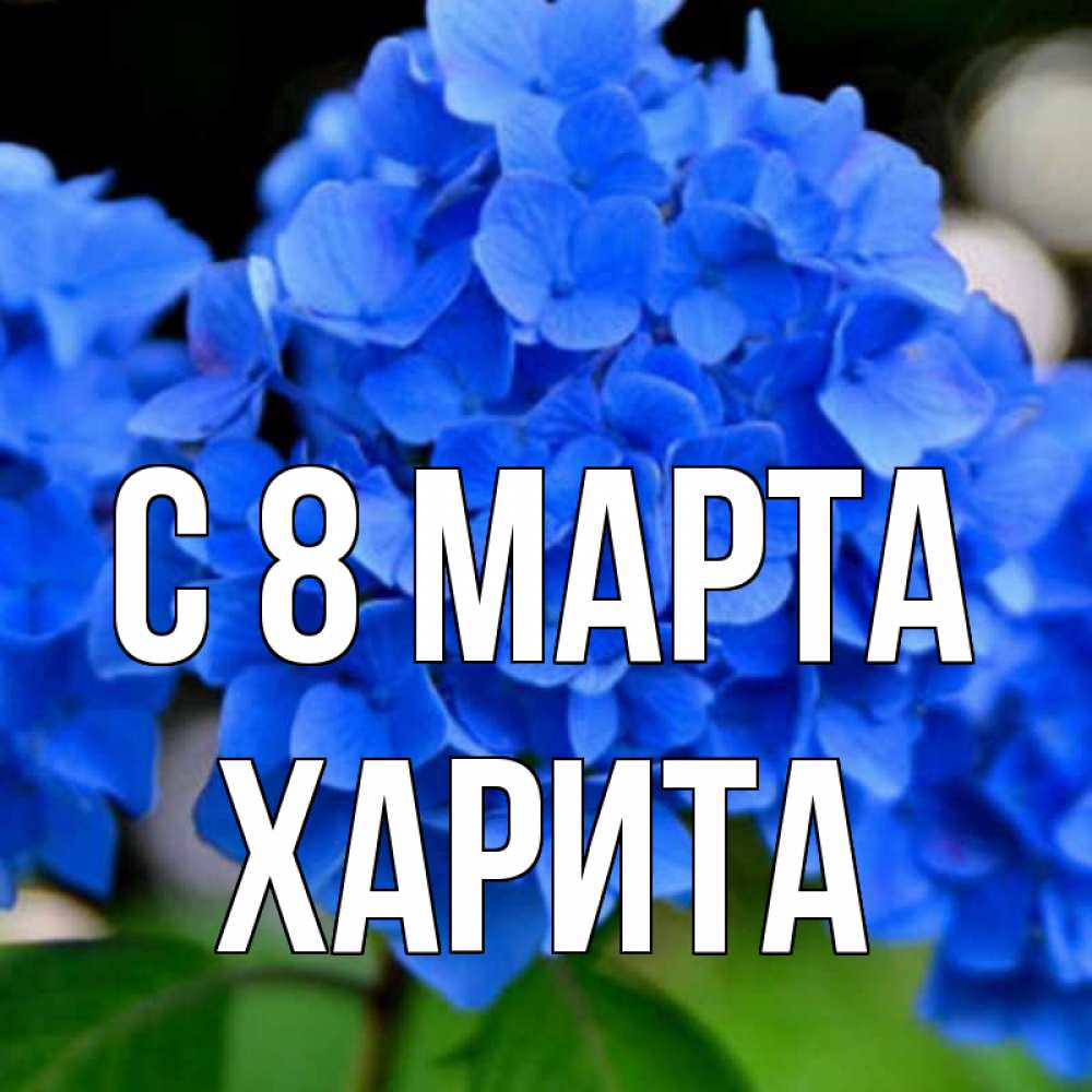 Открытка на каждый день с именем, Харита С 8 МАРТА синие цветы Прикольная открытка с пожеланием онлайн скачать бесплатно 