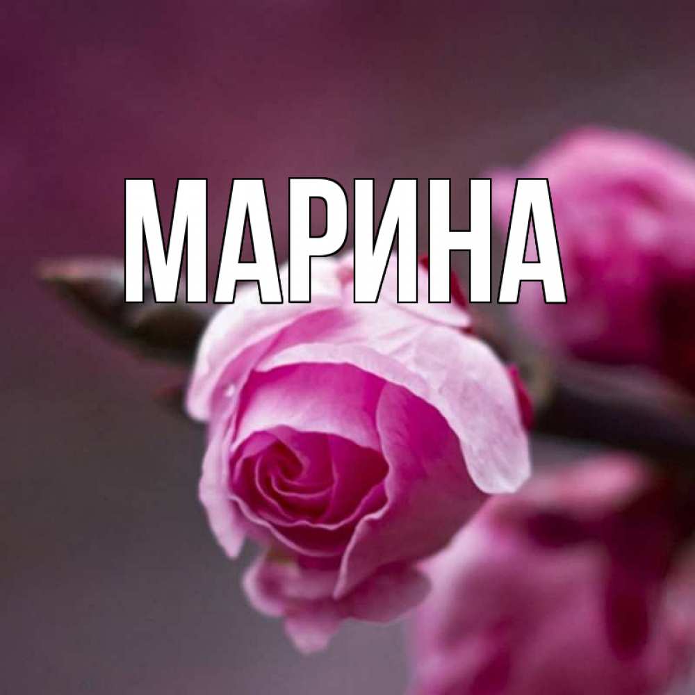Картинки с именами марина прикольные