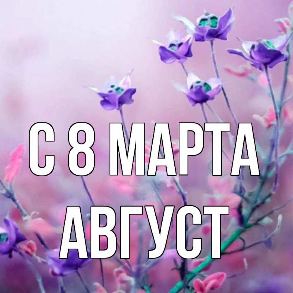 Открытка на каждый день с именем, Август С 8 МАРТА международный женский день 2 Прикольная открытка с пожеланием онлайн скачать бесплатно 