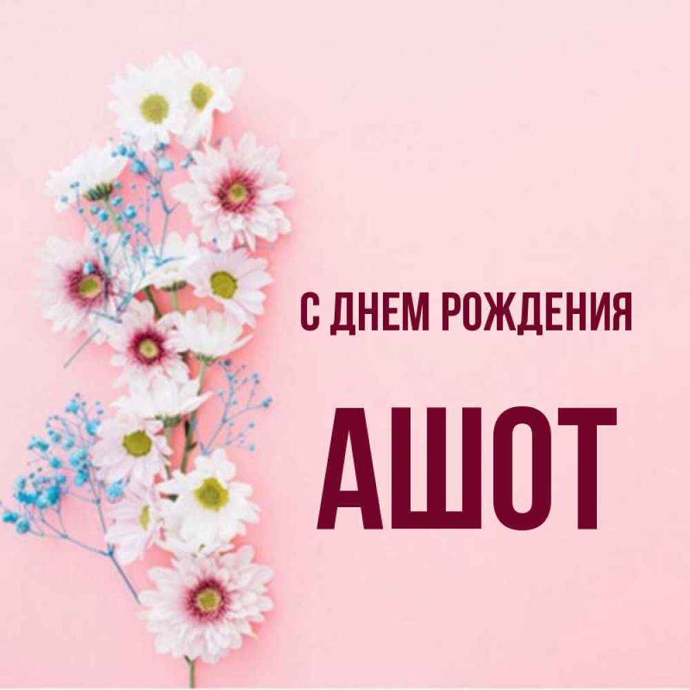 Открытка на каждый день с именем, Ашот С днем рождения Родная моя с днем рождения тебя картинка с цветами белыми и голубыми Прикольная открытка с пожеланием онлайн скачать бесплатно 