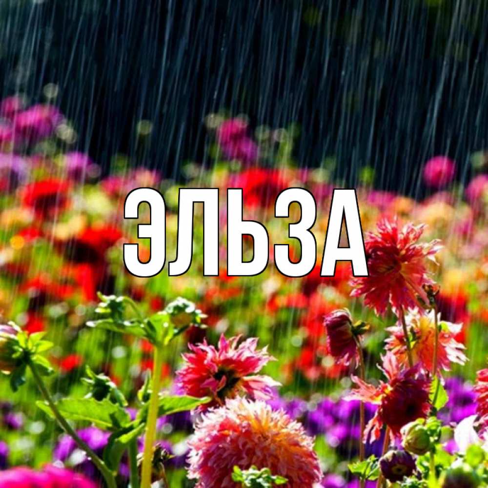 Картинка  с именем , Эльза