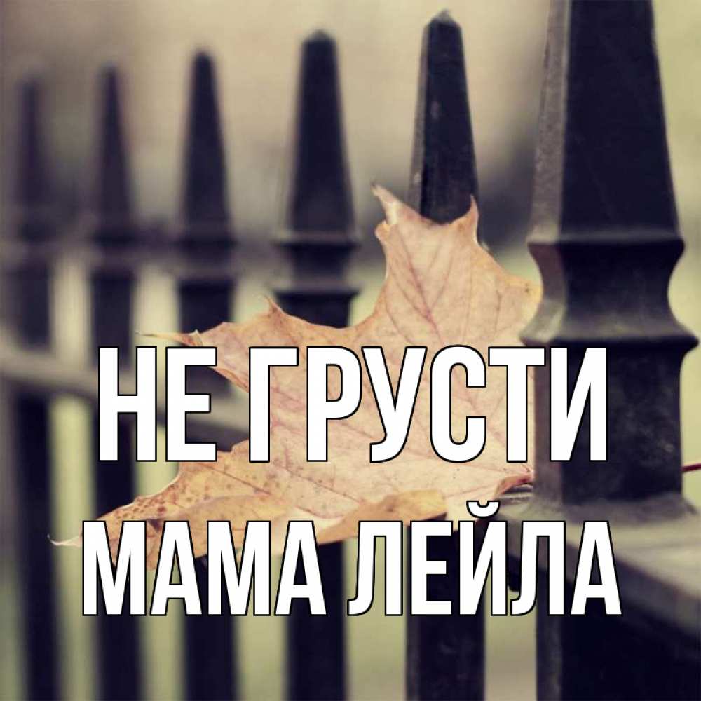 Открытка на каждый день с именем, Мама-Лейла Не грусти лист клена Прикольная открытка с пожеланием онлайн скачать бесплатно 