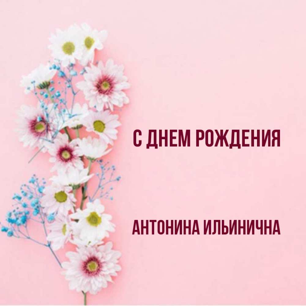 С Днем Рождения Антонина Картинки
