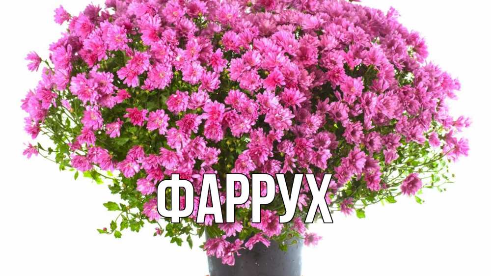 Картинка  с именем , Фаррух