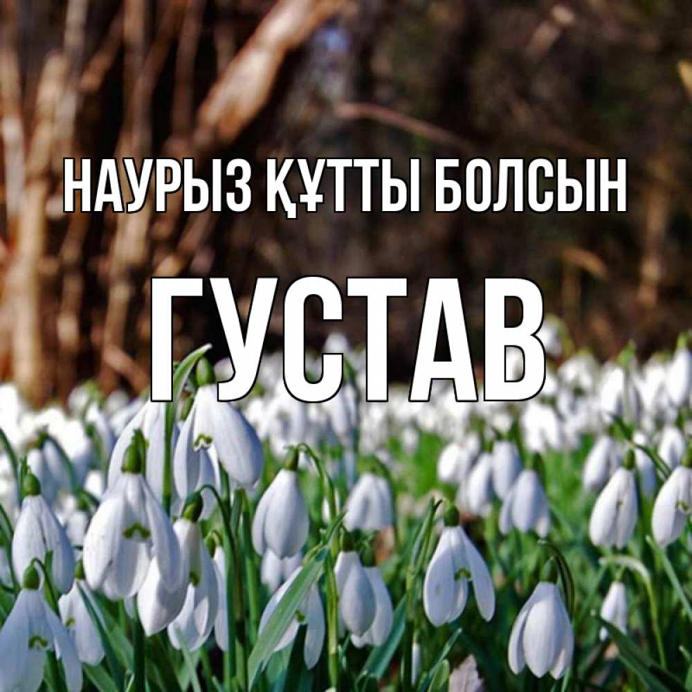 Открытка на каждый день с именем, Густав Наурыз құтты болсын с подснежниками 1 Прикольная открытка с пожеланием онлайн скачать бесплатно 