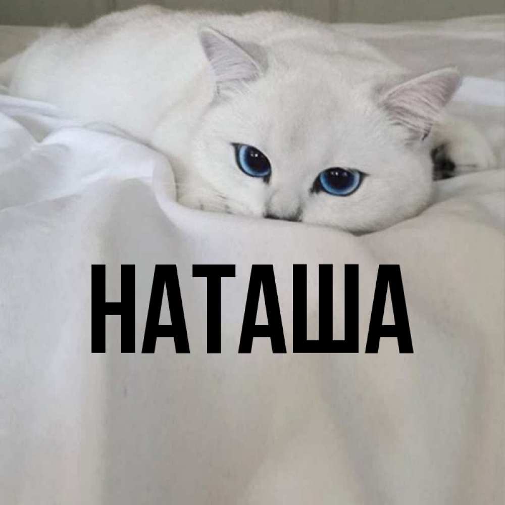 Наташа На Кровате