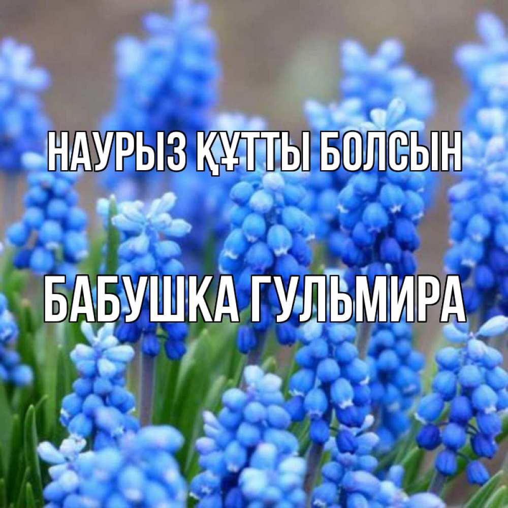 Открытка на каждый день с именем, Бабушка-Гульмира Наурыз құтты болсын Поздравительная открытка для женщин с цветами на праздничную дату Прикольная открытка с пожеланием онлайн скачать бесплатно 