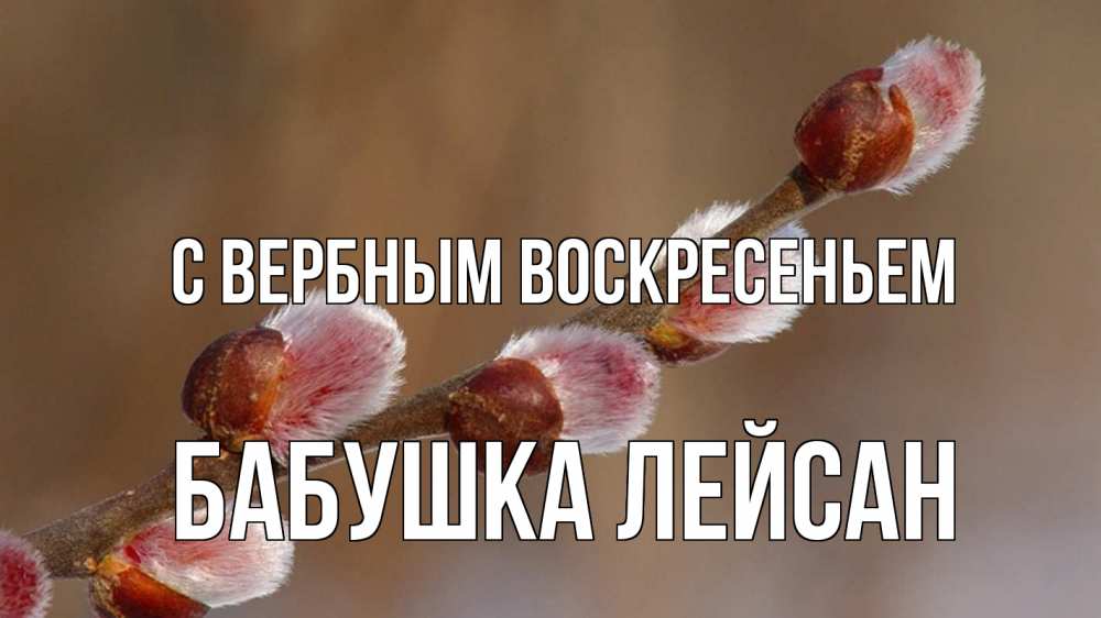 Открытка на каждый день с именем, Бабушка-Лейсан С вербным воскресеньем верба Прикольная открытка с пожеланием онлайн скачать бесплатно 