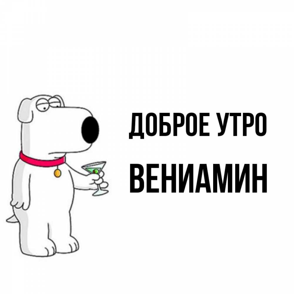 Открытка на каждый день с именем, Вениамин Доброе утро герои мультфильмов белый пес Прикольная открытка с пожеланием онлайн скачать бесплатно 