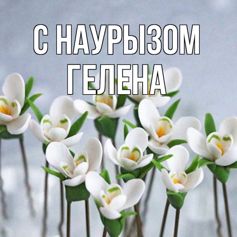 Открытка на каждый день с именем, Гелена С наурызом весенние цветы Прикольная открытка с пожеланием онлайн скачать бесплатно 