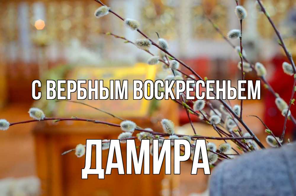 Открытка на каждый день с именем, Дамира С вербным воскресеньем верба Прикольная открытка с пожеланием онлайн скачать бесплатно 