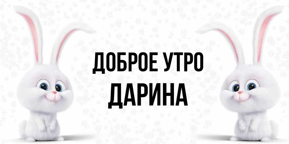 Открытка на каждый день с именем, Дарина Доброе утро кролики с длинными ушками Прикольная открытка с пожеланием онлайн скачать бесплатно 