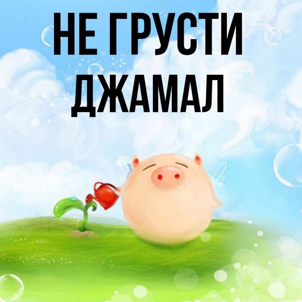 Открытка на каждый день с именем, Джамал Не грусти поливает цветок порося Прикольная открытка с пожеланием онлайн скачать бесплатно 