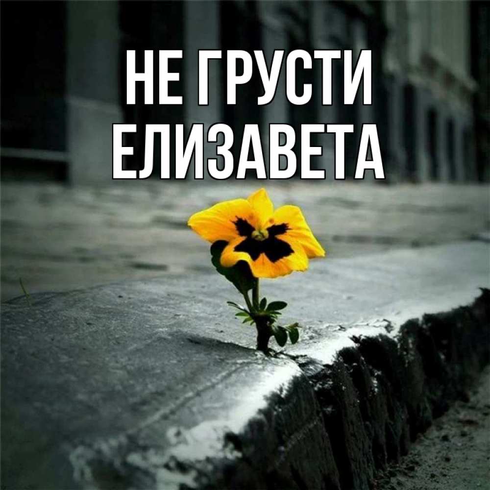 Открытка на каждый день с именем, Елизавета Не грусти не сдавайся Прикольная открытка с пожеланием онлайн скачать бесплатно 