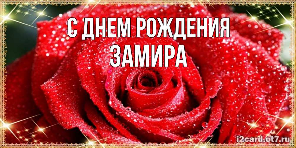 Открытка на каждый день с именем, ЗАМИРА С днем рождения роса и роза. открытка с красивой розой Прикольная открытка с пожеланием онлайн скачать бесплатно 