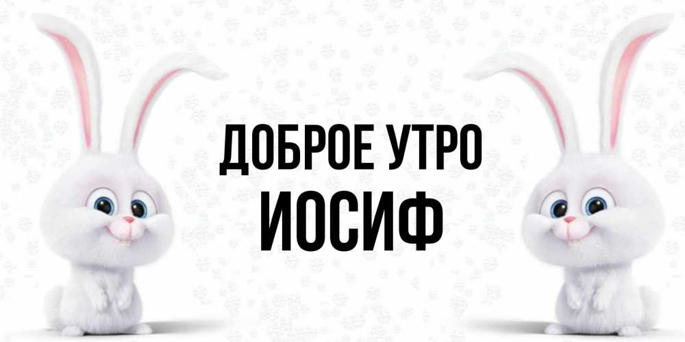 Открытка на каждый день с именем, Иосиф Доброе утро кролики с длинными ушками Прикольная открытка с пожеланием онлайн скачать бесплатно 