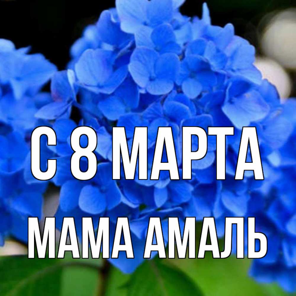 Открытка на каждый день с именем, Мама-Амаль С 8 МАРТА синие цветы Прикольная открытка с пожеланием онлайн скачать бесплатно 