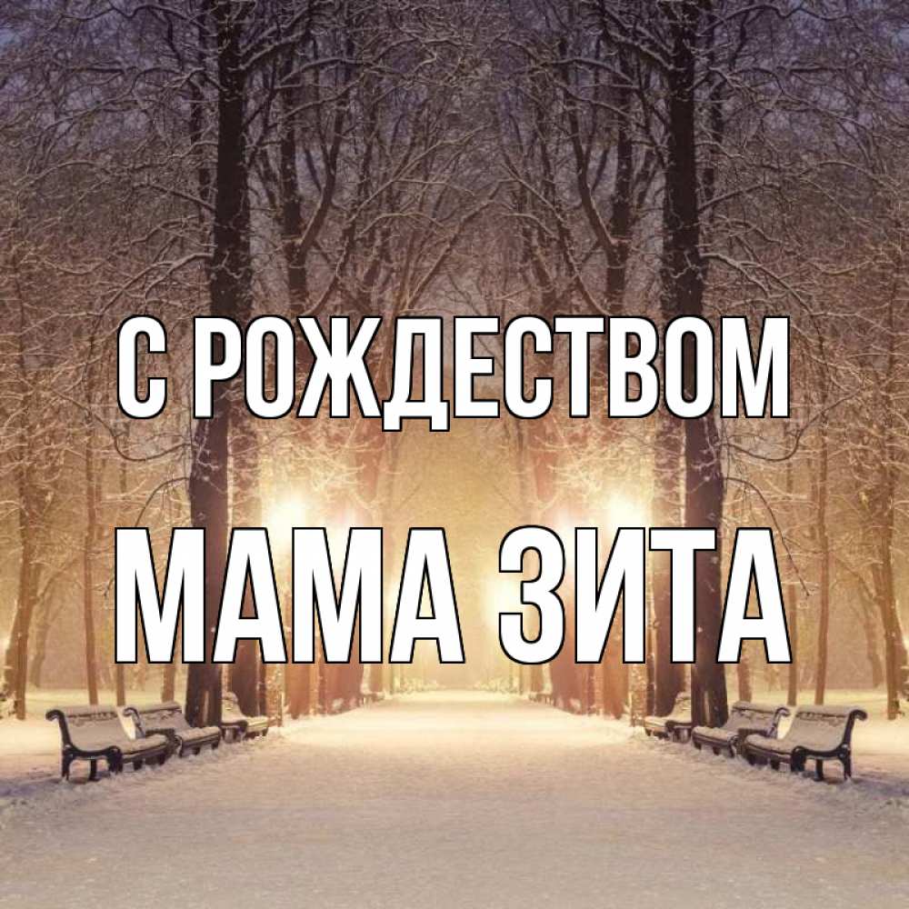 Открытка на каждый день с именем, Мама-Зита С рождеством зима, парк, фонарь, лес Прикольная открытка с пожеланием онлайн скачать бесплатно 