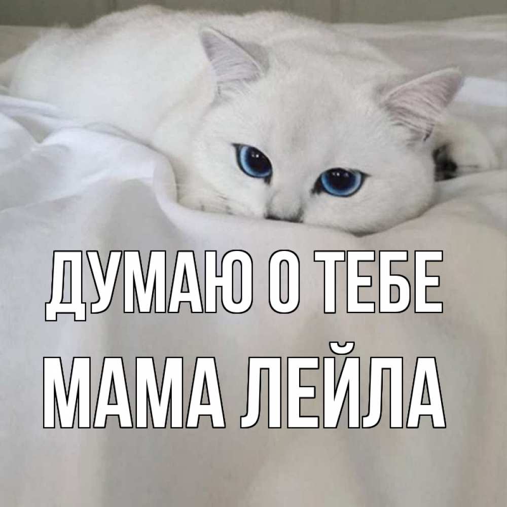 Открытка на каждый день с именем, Мама-Лейла Думаю о тебе я очень по тебе скучаю и тоскую Прикольная открытка с пожеланием онлайн скачать бесплатно 