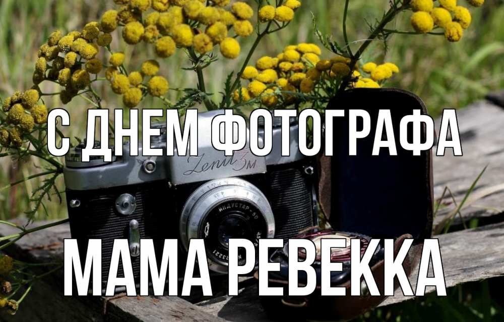 Открытка на каждый день с именем, Мама-Ревекка С днем фотографа с днем фотографа Прикольная открытка с пожеланием онлайн скачать бесплатно 
