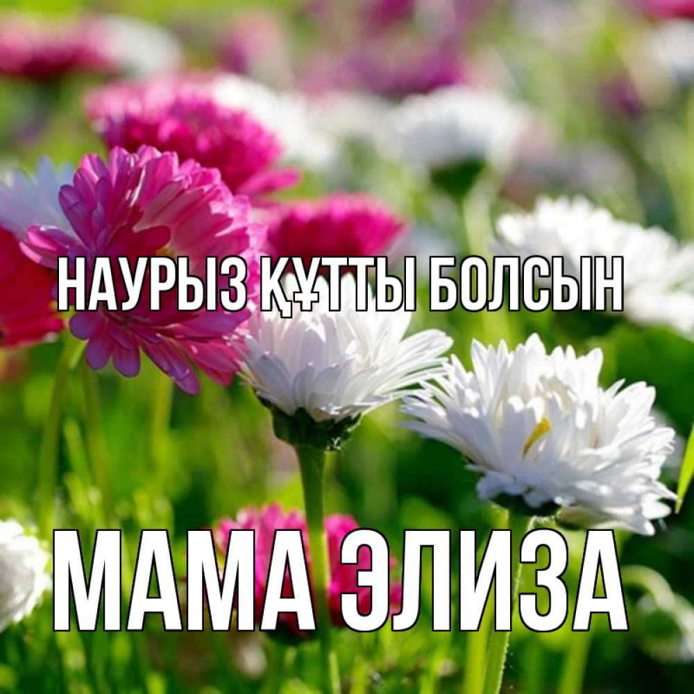 Открытка на каждый день с именем, Мама-Элиза Наурыз құтты болсын наурыз Прикольная открытка с пожеланием онлайн скачать бесплатно 