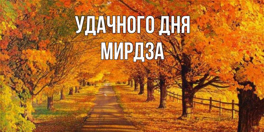 Открытка на каждый день с именем, Мирдза Удачного дня деревья с осенними листьями Прикольная открытка с пожеланием онлайн скачать бесплатно 