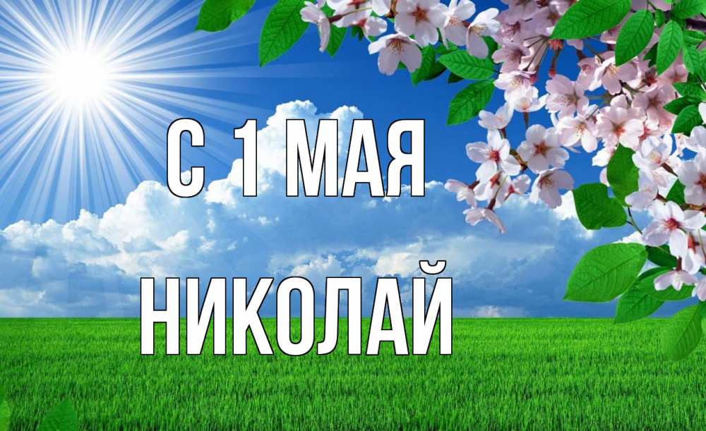 Открытка на каждый день с именем, Николай С 1 мая С 1 мая Прикольная открытка с пожеланием онлайн скачать бесплатно 
