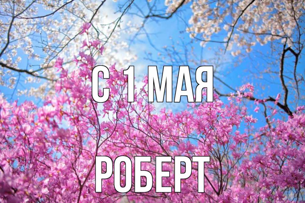 Открытка на каждый день с именем, Роберт С 1 мая С 1 мая Прикольная открытка с пожеланием онлайн скачать бесплатно 