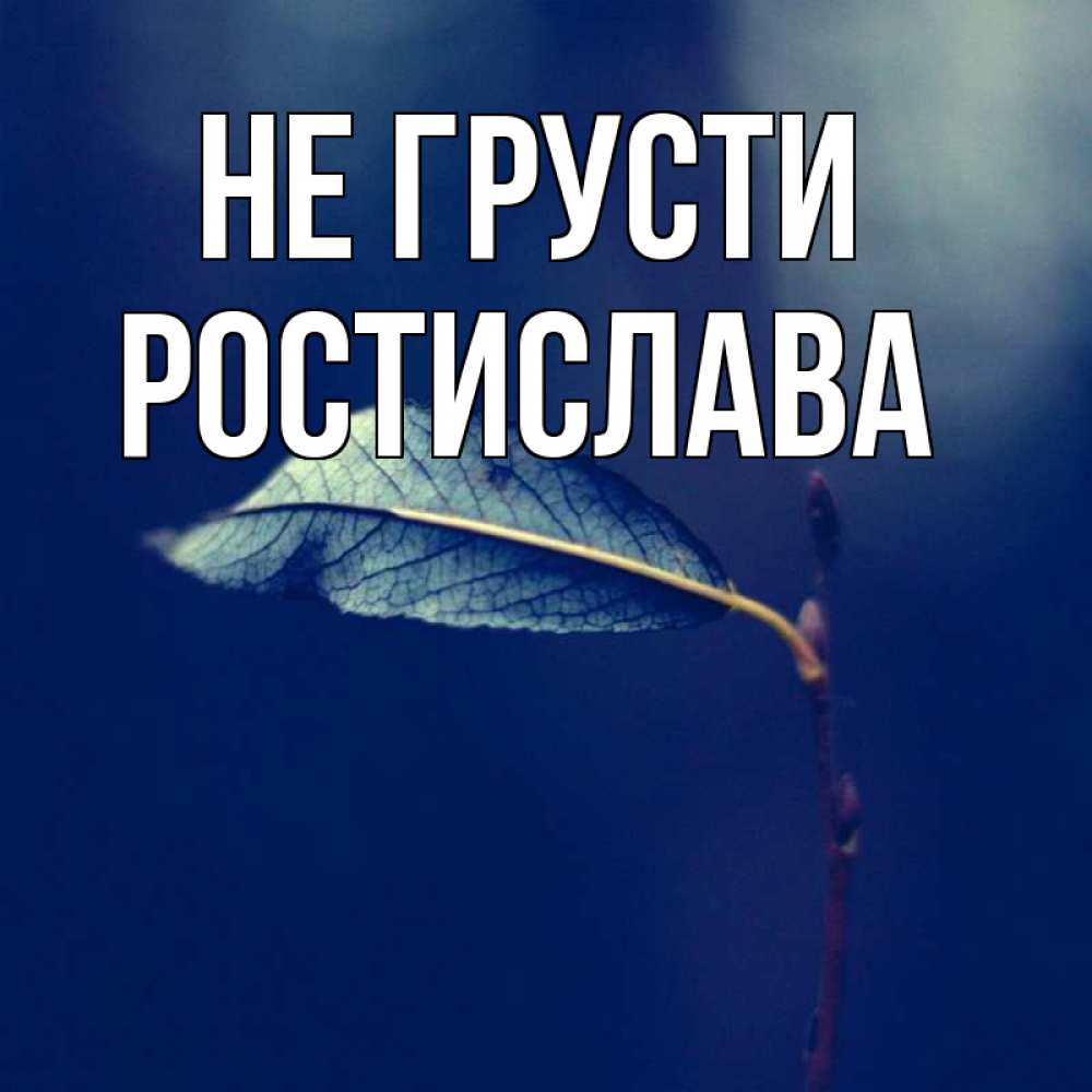 Открытка на каждый день с именем, Ростислава Не грусти растение Прикольная открытка с пожеланием онлайн скачать бесплатно 
