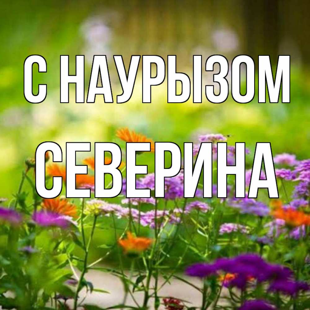 Открытка на каждый день с именем, Северина С наурызом цветы Прикольная открытка с пожеланием онлайн скачать бесплатно 