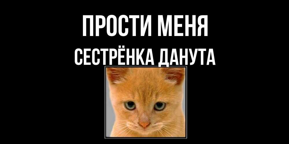 Открытка на каждый день с именем, Сестрёнка-Данута Прости меня рыжий грустный кот просит прощения Прикольная открытка с пожеланием онлайн скачать бесплатно 