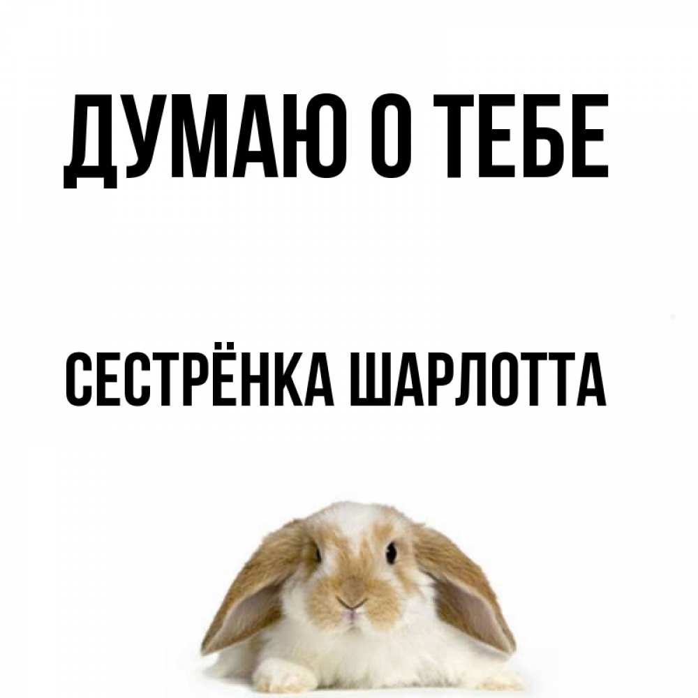 Открытка на каждый день с именем, Сестрёнка-Шарлотта Думаю о тебе подписать своими руками онлайн Прикольная открытка с пожеланием онлайн скачать бесплатно 