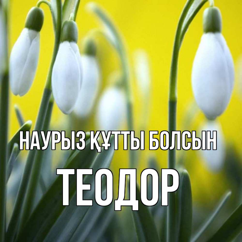 Открытка на каждый день с именем, Теодор Наурыз құтты болсын весенние цветы Прикольная открытка с пожеланием онлайн скачать бесплатно 