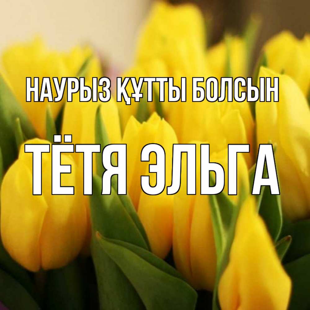 Открытка на каждый день с именем, Тётя-Эльга Наурыз құтты болсын цветы Прикольная открытка с пожеланием онлайн скачать бесплатно 