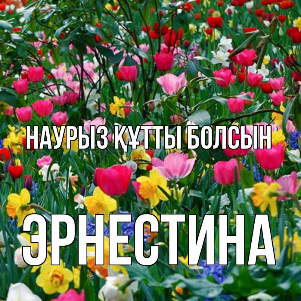Открытка на каждый день с именем, Эрнестина Наурыз құтты болсын с наурызом поздравления для женщины Прикольная открытка с пожеланием онлайн скачать бесплатно 