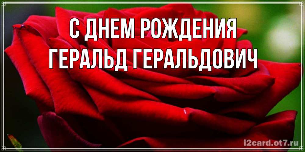 Открытка на каждый день с именем, Геральд-Геральдович С днем рождения розочка очень красивая Прикольная открытка с пожеланием онлайн скачать бесплатно 