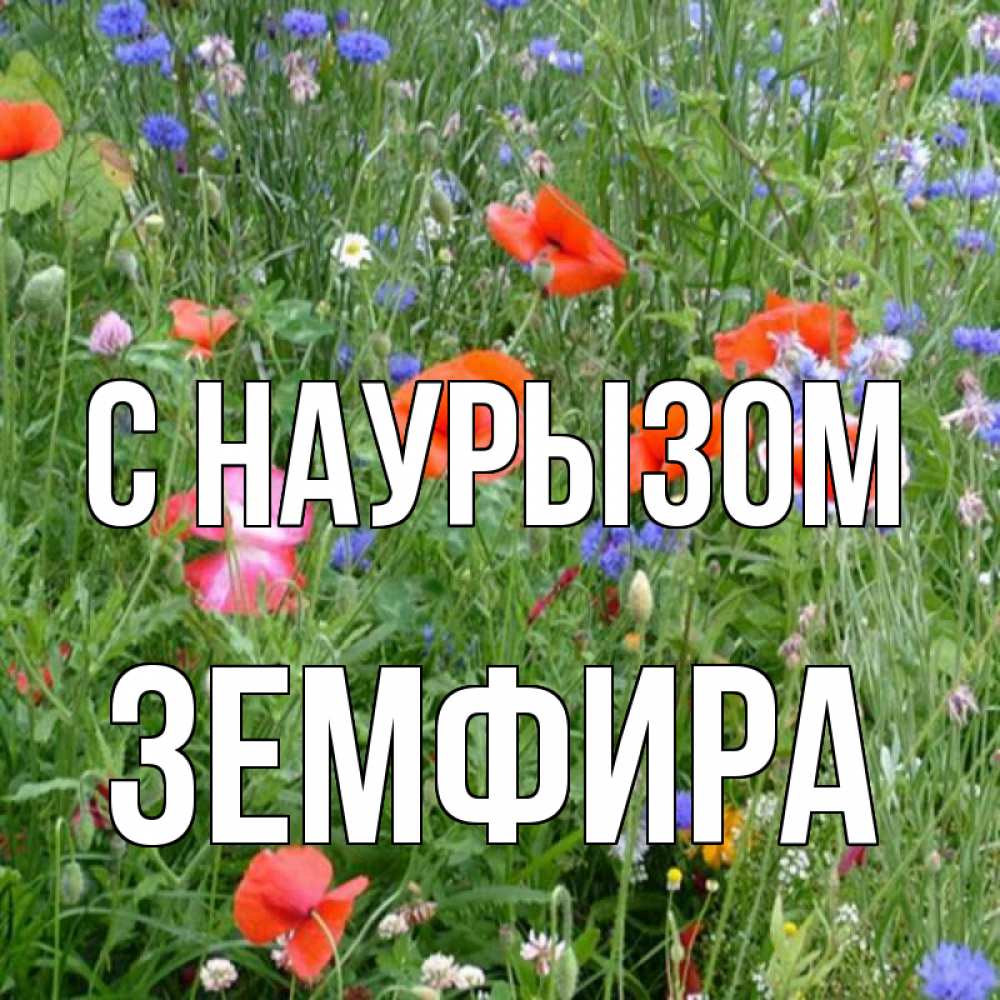 Открытка на каждый день с именем, Земфира С наурызом праздник весны наурыз супер открытка Прикольная открытка с пожеланием онлайн скачать бесплатно 