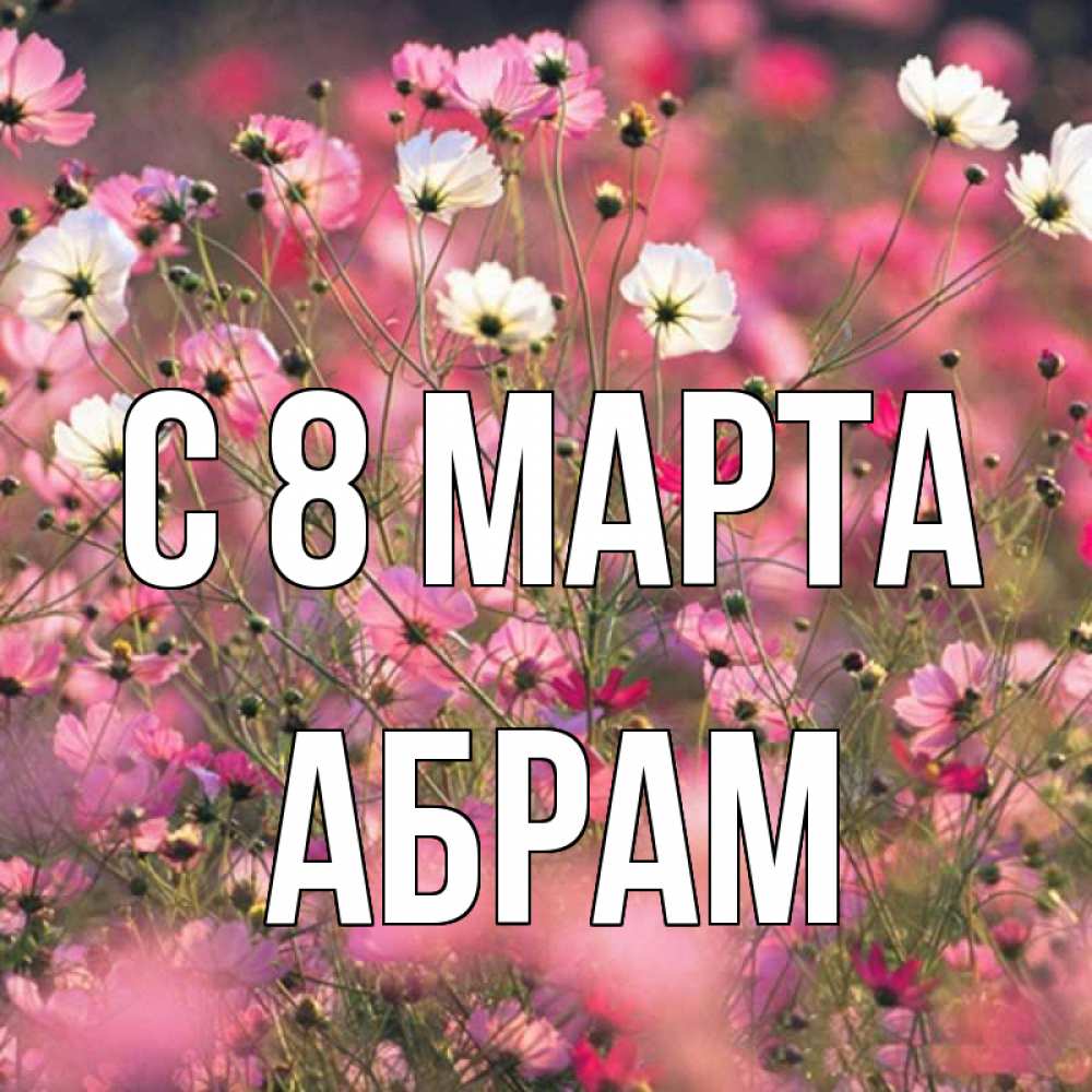 Открытка на каждый день с именем, Абрам С 8 МАРТА красиво 1 Прикольная открытка с пожеланием онлайн скачать бесплатно 