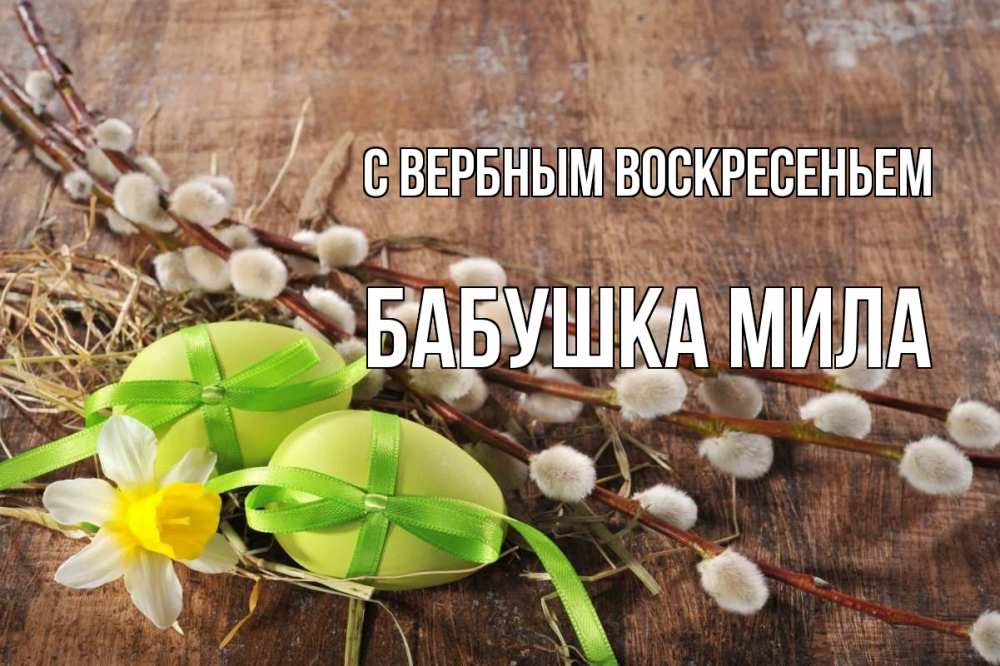 Открытка на каждый день с именем, Бабушка-Мила С вербным воскресеньем верба Прикольная открытка с пожеланием онлайн скачать бесплатно 