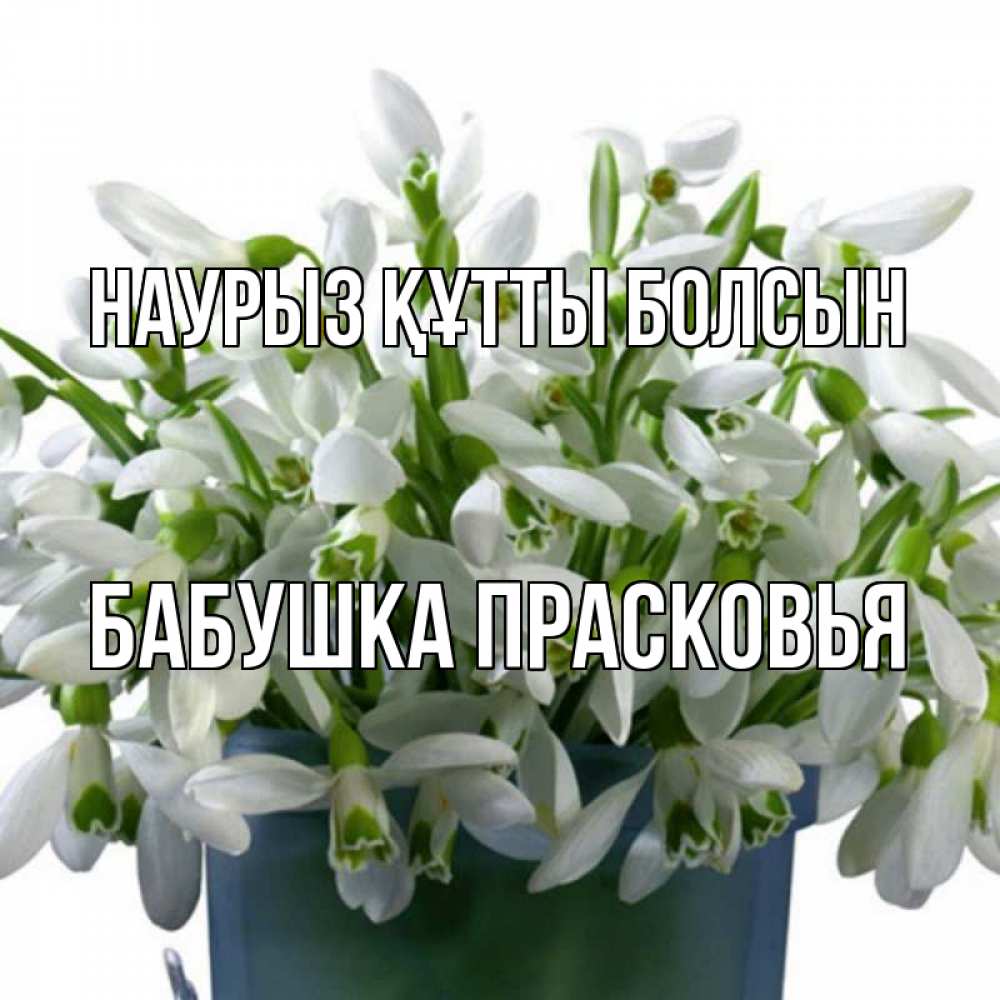 Открытка на каждый день с именем, Бабушка-Прасковья Наурыз құтты болсын цветы к наурызу Прикольная открытка с пожеланием онлайн скачать бесплатно 